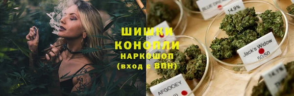 спиды Пересвет