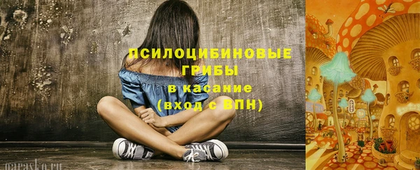 сатива Алзамай