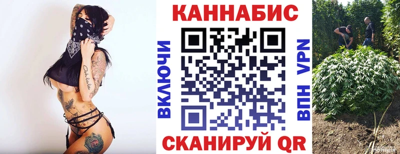 Бошки марихуана THC 21%  купить наркотики цена  Рошаль 